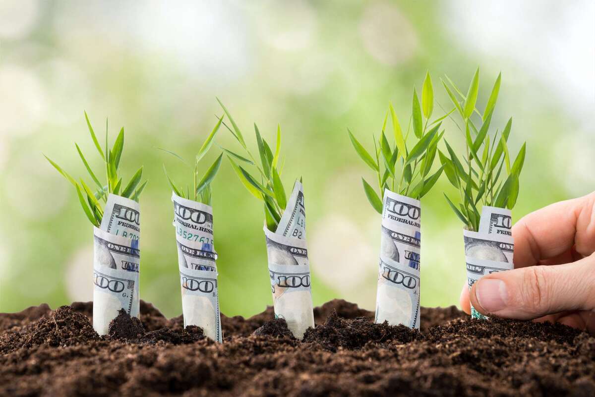 Person Planting Money Plants (R) (S)