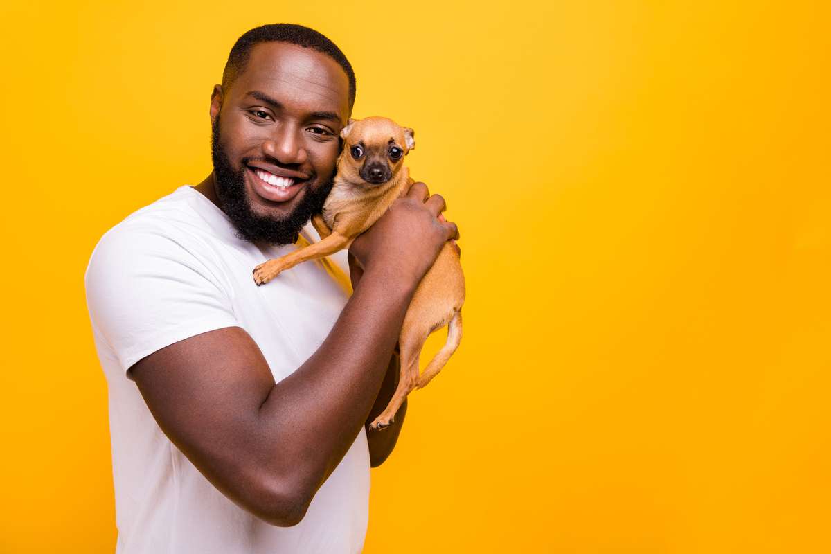 Photo of dark skin guy raising little pet in arms wear casual outfit isolated yellow background (R) (S)