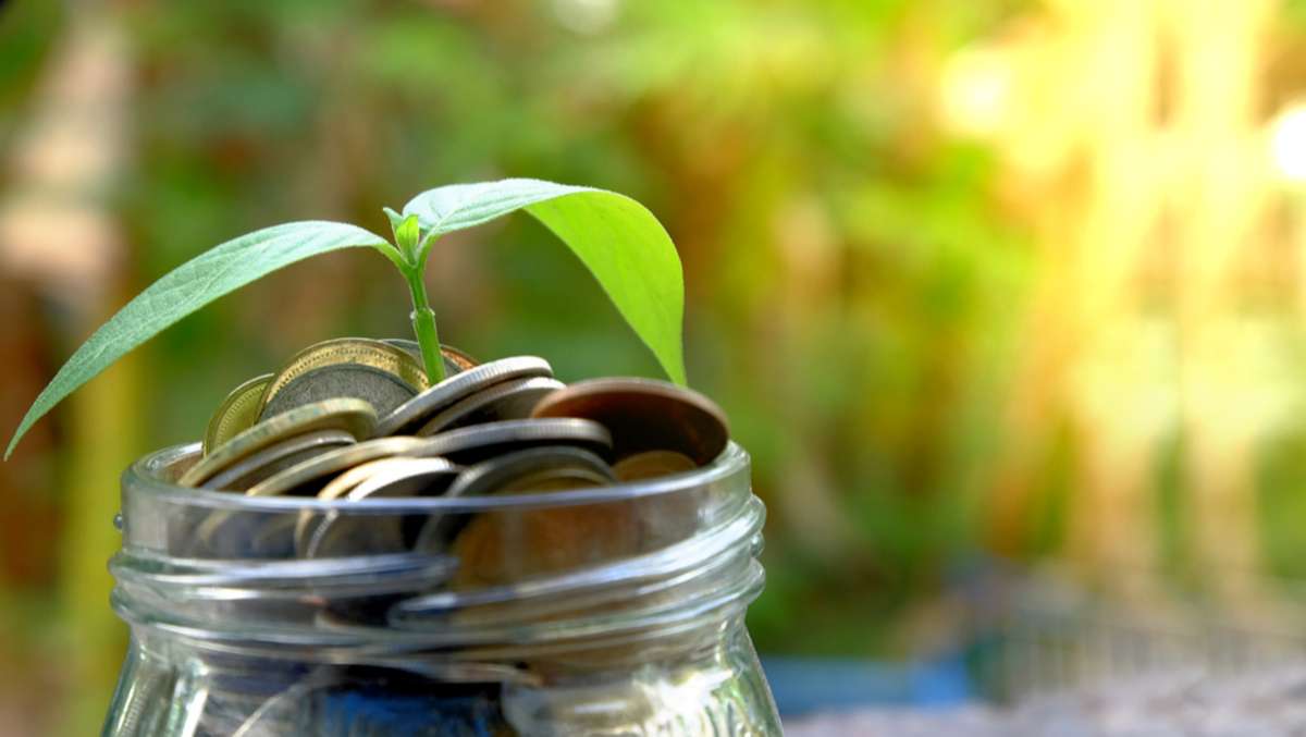 Plant growing over Money coins in jar